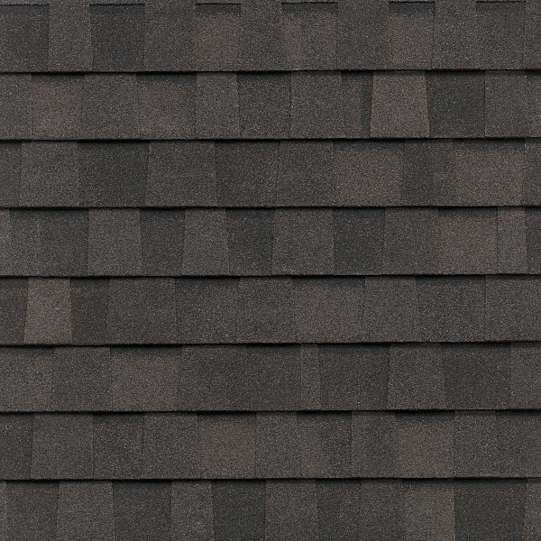 CertainTeed Northgate Climateflex Max Def Espresso shingle swatch